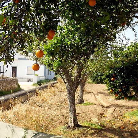 Вілла Casas Do Pomar Лагуш Номер фото