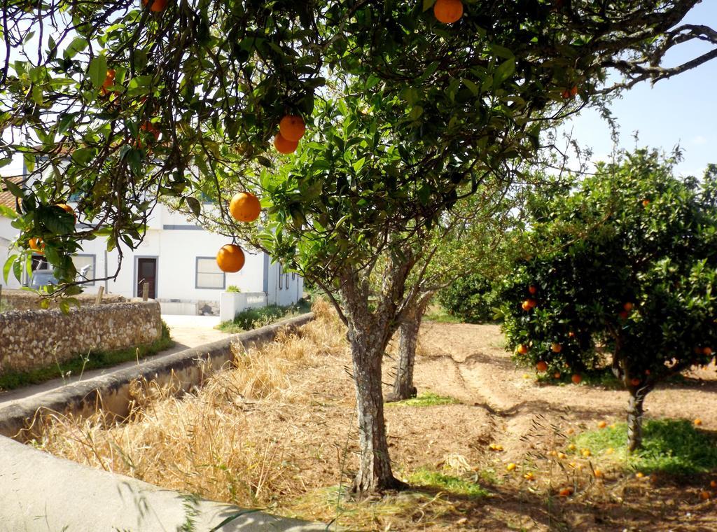 Вілла Casas Do Pomar Лагуш Номер фото